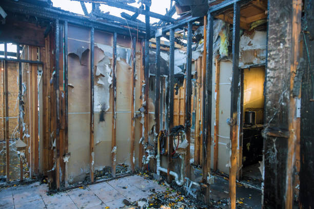 Professional Smoke Damage Removal technician working in Roanoke, TX